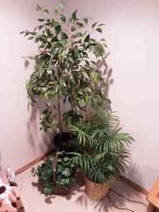 lot 125 image: Faux Tree Greenery