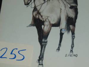 lot 255 image: Steve Premo Native American Pointing to Left original pencil sketch 15 x 20