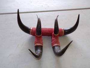 lot 50 image: Horn Mount Dcor