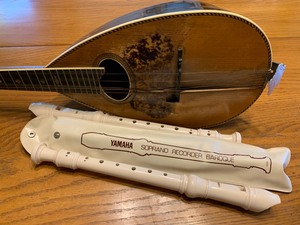 lot 97 image: Vintage Mandolin and a Recorder