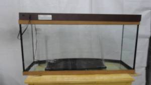 lot 84 image: Glass Aquarium Bowed Oak Trim