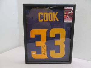 Delvin Cook autographed jersey