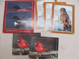 wild life prints
