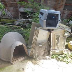 lot 118 image: Lot of 4 Plastic Dog Kennels, Igloo, And Carrier