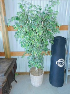 lot 5 image: Artificial Tree