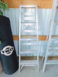 lot 7 image: Silver Metal Ladder