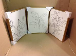 lot 4 image: (Set of 3) 16 x 20 Leaf Illustrations Framed Wall Canvas - Opalhouse in good condition