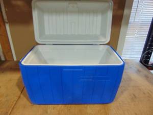 lot 29 image: (3) Large Coolers