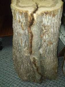 lot 219 image: Ironwood log