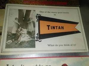 lot 225 image: 40 Post Cards postmarked. Tintah MN