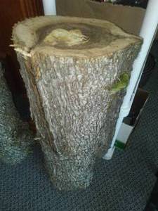 lot 230 image: Ironwood log