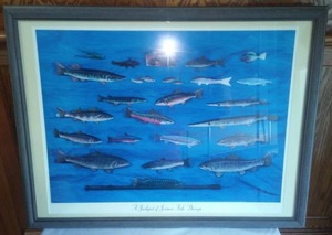 lot 246 image: John Jenson Print  A Jackpot of Jenson Fish Days.