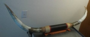 lot 313 image: Longhorn Steer horns 6 foot long.