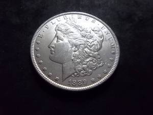 1889 Morgan Silver Dollar