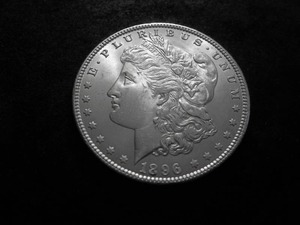 1896 Morgan Silver Dollar