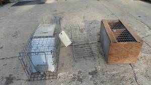 lot 174 image: Vintage Live Trap & Cages