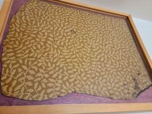 lot 35 image: Framed Vintage Piece of Linoleum