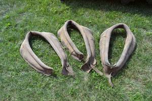 lot 70 image: Lot of 3 Leather Horse Collars