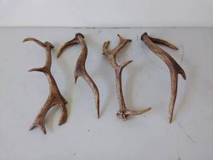 lot 23 image: Four Antlers
