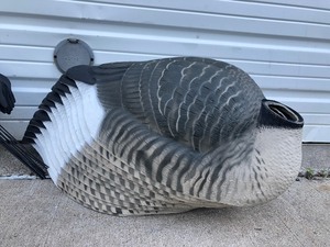 lot 311 image: Group of Brand New Goose Decoys