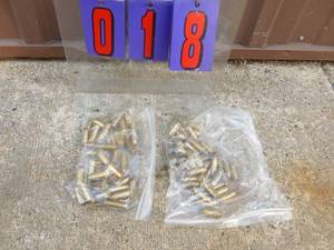 lot 18 image: 2 bags of 10mm ammo. As shown.