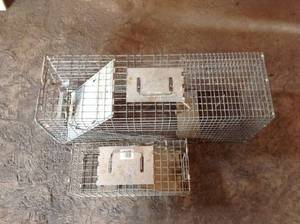 lot 14 image: Live Traps