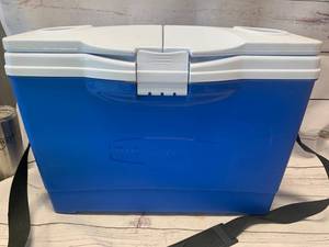 lot 28 image: Rubbermaid 13 Quart Slim Cooler ($54.99 at Overstock.com)