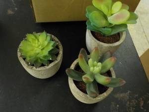 Set of 6 Herb Dcor...