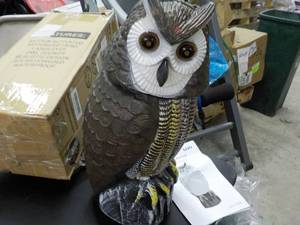 Lijo Motion Activated Owl 16 tall...