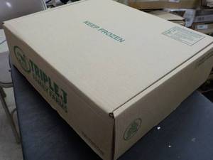 Bundle of 25 Self Closing Cardboard...
