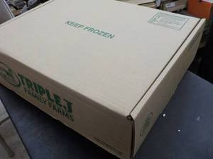 Bundle of 25 Self Closing Cardboard...