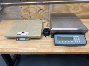 Lot of 2 Scales
