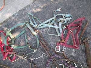 lot 24 image: Horse Hardware, Supplies & More Se...
