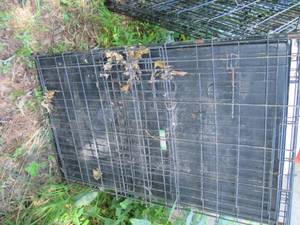 lot 68 image: XL Metal Dog Kennel...