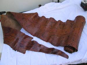 lot 165 image: Snake skin - 13 feet long...