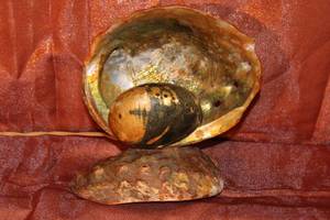 lot 39 image: 1930s Abalone Shell Lamp
