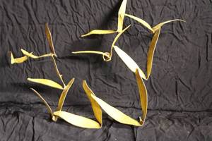 lot 2 image: Jere Style Mid-Century Brass Birds in Flight Wall Art