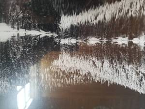lot 35 image: Fine Art Photography Print- Reflecting Pond