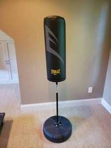 lot 12 image: Everlast Training Bag