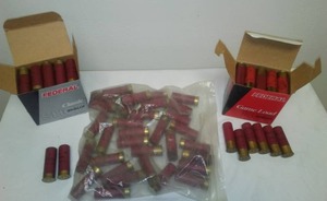 lot 21 image: 12 Gauge Shotgun Shells  80 about.