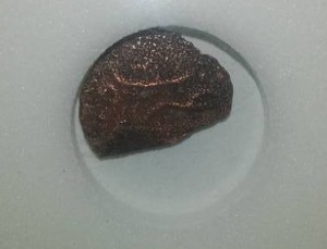 lot 99 image: Widows mite Coin Roman circa 50 BC - 400 A.D., authentic.