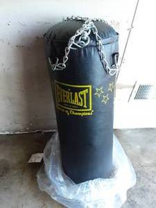 lot 4 image: Everlast Punching Bag (Like New)