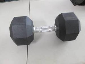 lot 172 image: 40 lb Ignite Barbell...