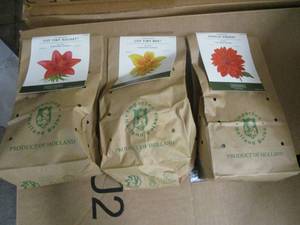 lot 314 image: Set of 3 bags of Flower Bulbs...