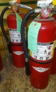 lot 798 image: Amerex 10 lb. ABC Fire Extinguishers (2) $90 if new