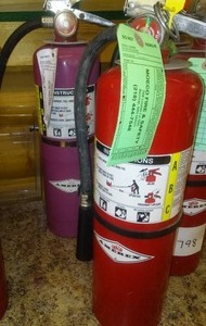 lot 799 image: Amerex 10 lb. ABC Fire Extinguishers (2) $90 if new