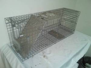 lot 462 image: Large Live trap - Havahart Brand.