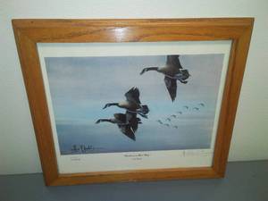 Les C. Kouba Framed Print, Honkers on their way.