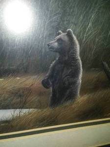 Mothers Pride by Kevin Daniel, Bear theme.