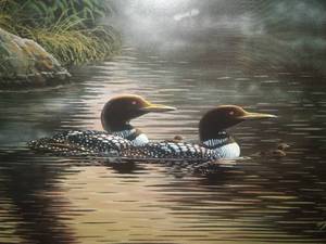 Framed Artwork - Loons, Artist Proof
